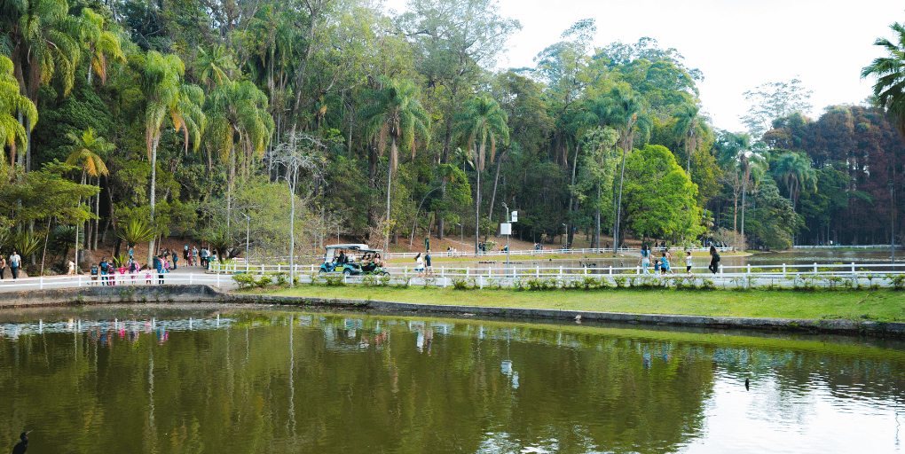 Horto Florestal lança canal no WhatsApp para visitantes