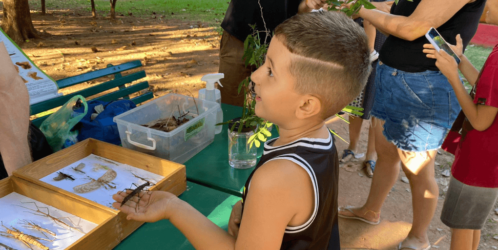 Programação do Parque Tenente Brigadeiro Faria Lima contará com exposição gratuita ‘O Incrível Universo do Bicho-Pau’